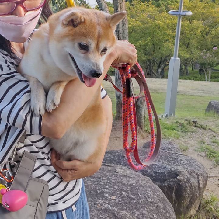 5ac922be 8c89 4f7b 95f4 c4e40304e6d8 1663330970295