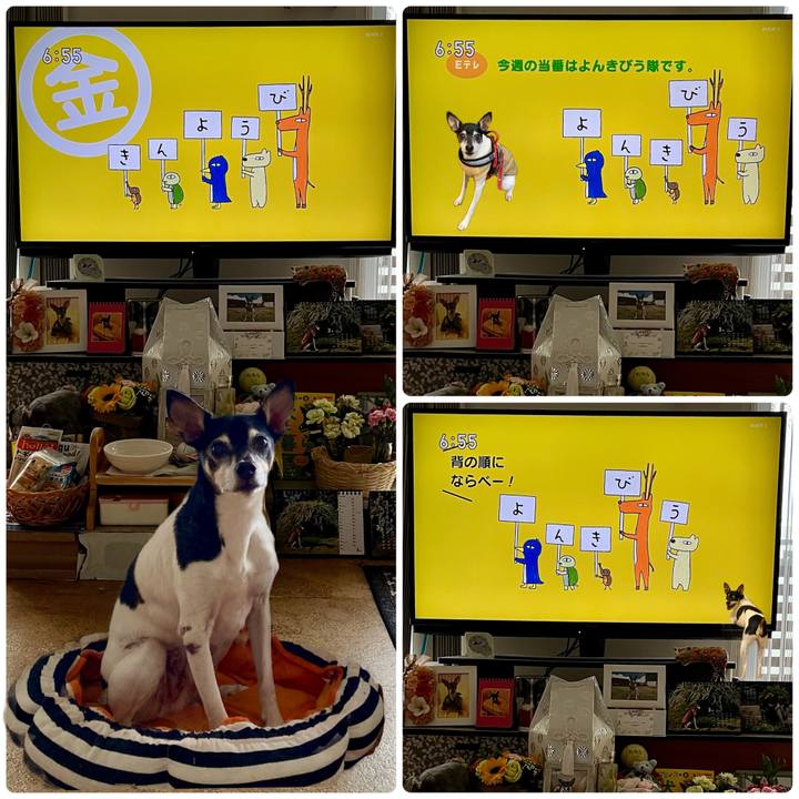 5ac94fe4 f1d4 4a6d bcaf 328685ad195a 1678399349524