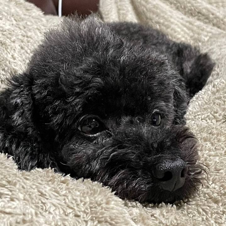 5ac978f0 1019 44cd b85f 2aadf9438d13 1668380799541