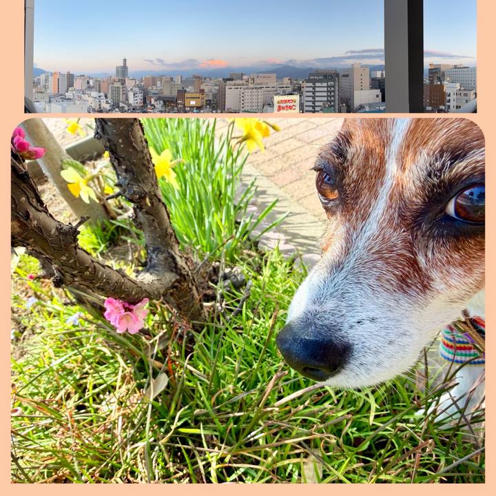 5ac97d87 3d2b 4f5b b0a9 8606a44a3fbe 1774603956463