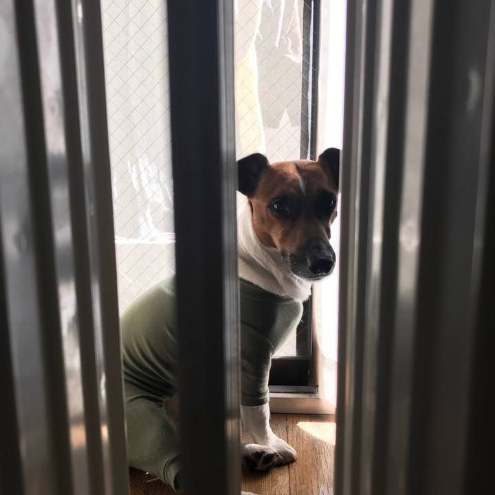 5ac9ccbc 5a57 4ac0 a46f ff62f3d2612c 1519599045270