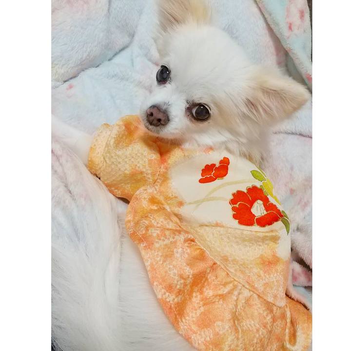 5ac9e11f acd4 4209 8758 1eb1e8295018 1646410860127