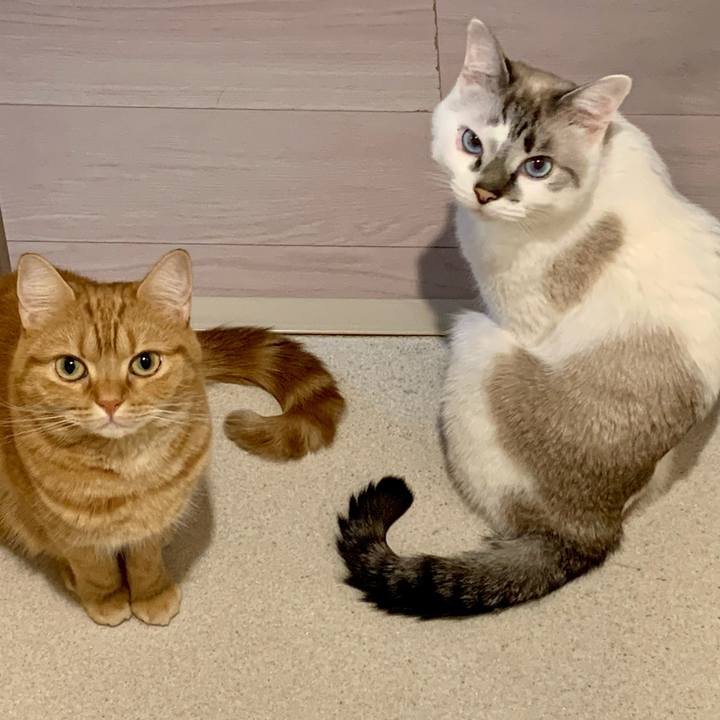 5ac9e4e5 9af1 49c3 a174 51b2ff52646c 1607425891891