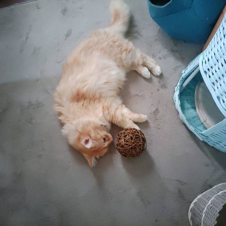 5aca9987 92f7 494d 8d47 c4a50bba5c86 1659832604247