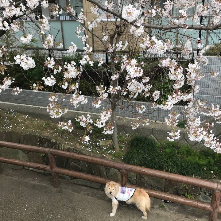 5acac075 77d6 41ea a859 397359379ccc 1585354922051