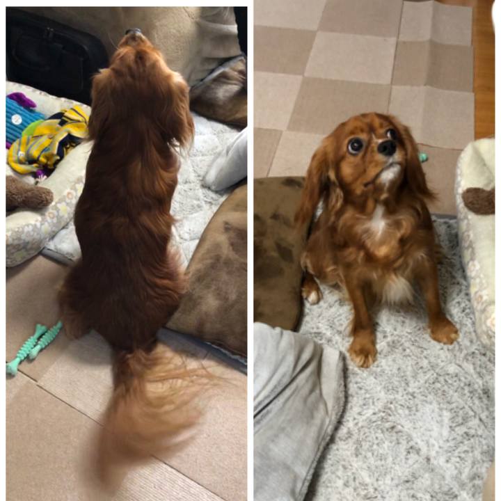 5acac36e 5366 474b b8f7 2173f36c3648 1555279510066