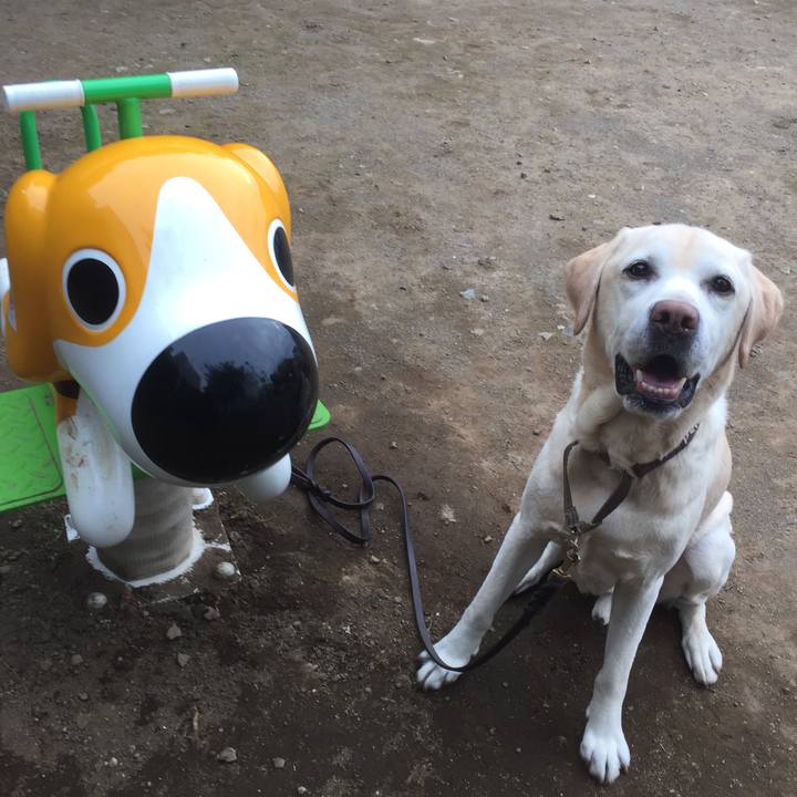 5acaf59e 54cb 4667 b23c 28747096ce3b 1526547601812