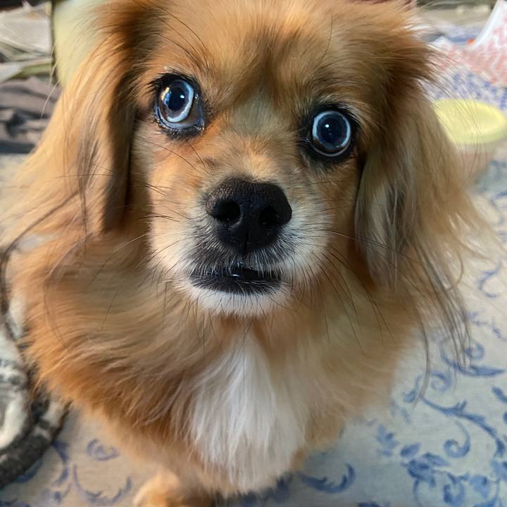 5acaf9a2 ed5d 4bb8 ae1c 179a21c6165a 1666907395850