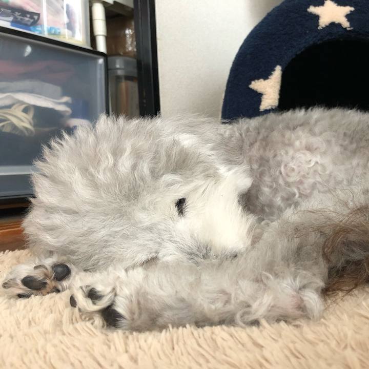 5acb1680 c73f 47ac 9c85 f4bb8a06c816 1624322566552