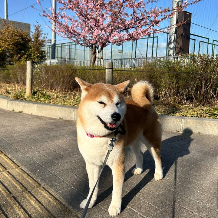 5acb27b2 5ada 4a9b b3d4 7e25bc59f54f 1772330951366