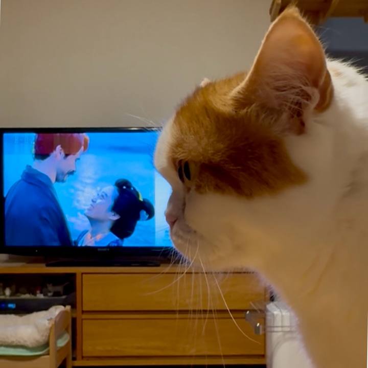 5acb41d0 6fdc 4230 9653 c3eb727ba69a 1763122465177