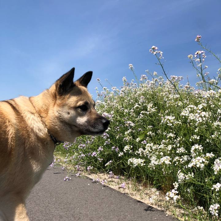 5acb5771 8bac 4a9f ad55 292ebe72dad1 1618140212154