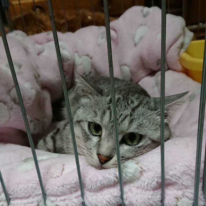 5acb85c8 332c 4f39 9cce ee8a86deeaff 1568811665053