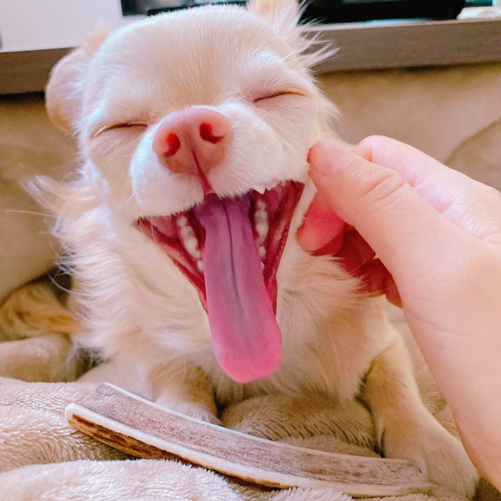 5acc0ac5 97c9 41a7 ab50 5cb1b3d13f9a 1643669313453