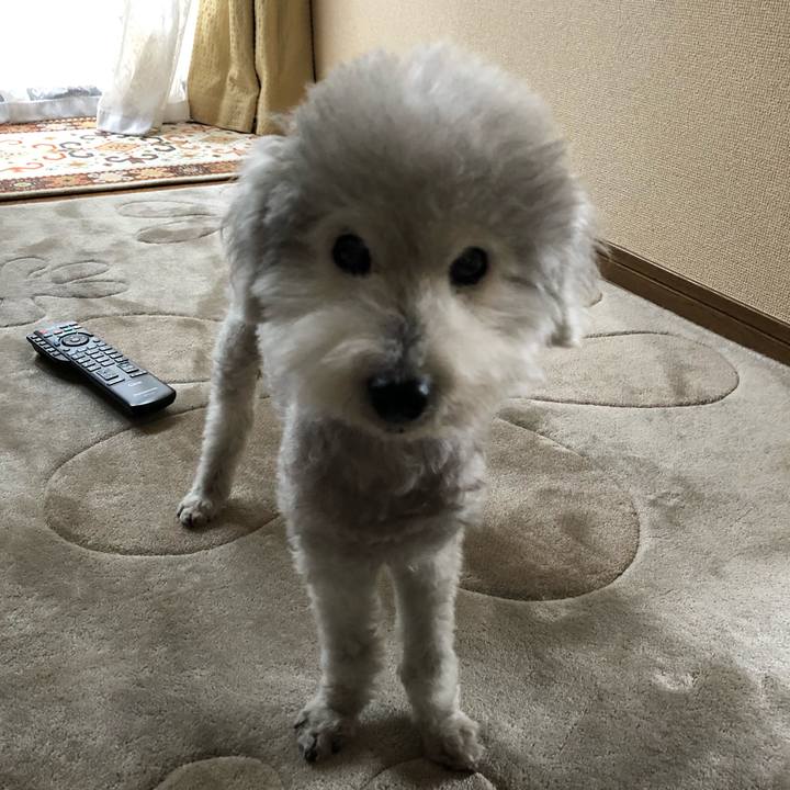 5acc0c98 6ccc 4091 a4f0 35253ae772be 1623023790464