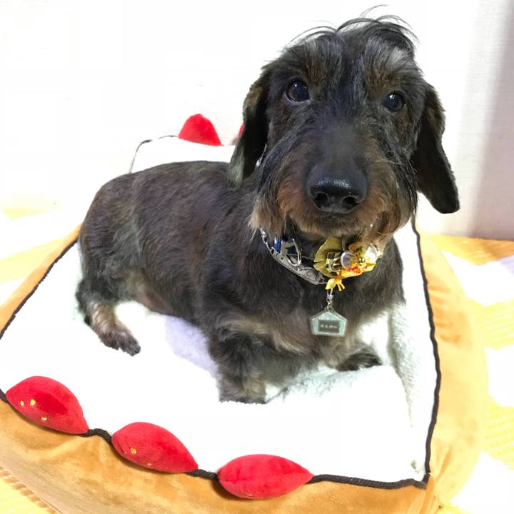 5acc41a7 36a8 455e 92a7 3aef0d1159fe 1514649434956