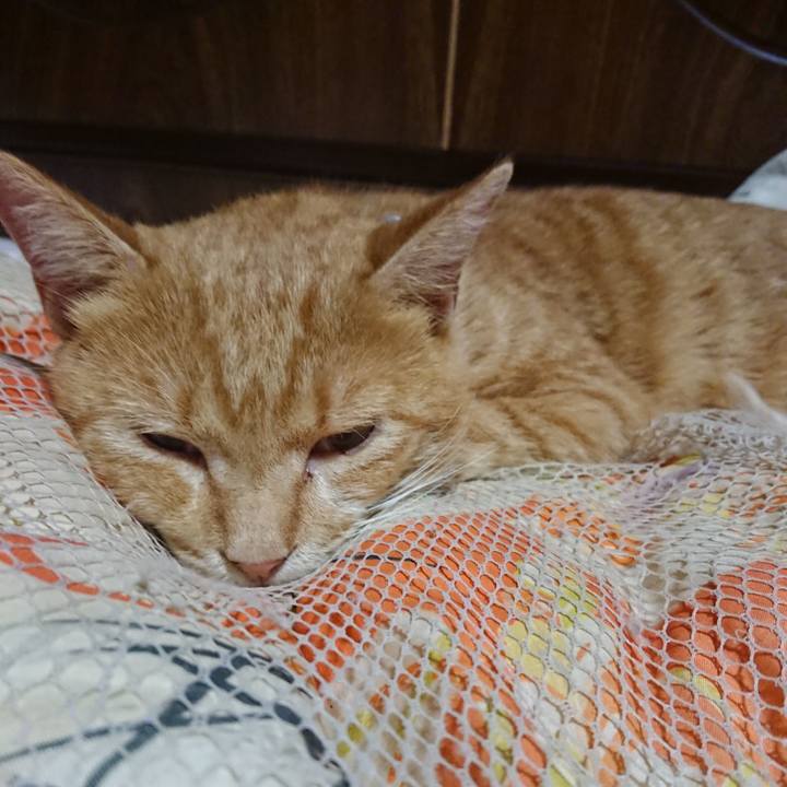 5acc5501 396c 4207 94a5 f70ad2ed74da 1568727997915