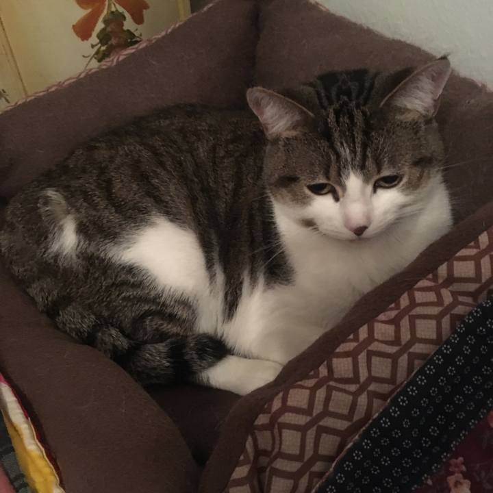 5acc5a70 4ac3 4b68 8f81 88ed4404e1d5 1691199716147