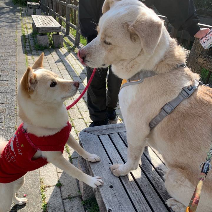 5acc93e5 b033 4ad4 88bf c81af1e9d9cb 1555425653271