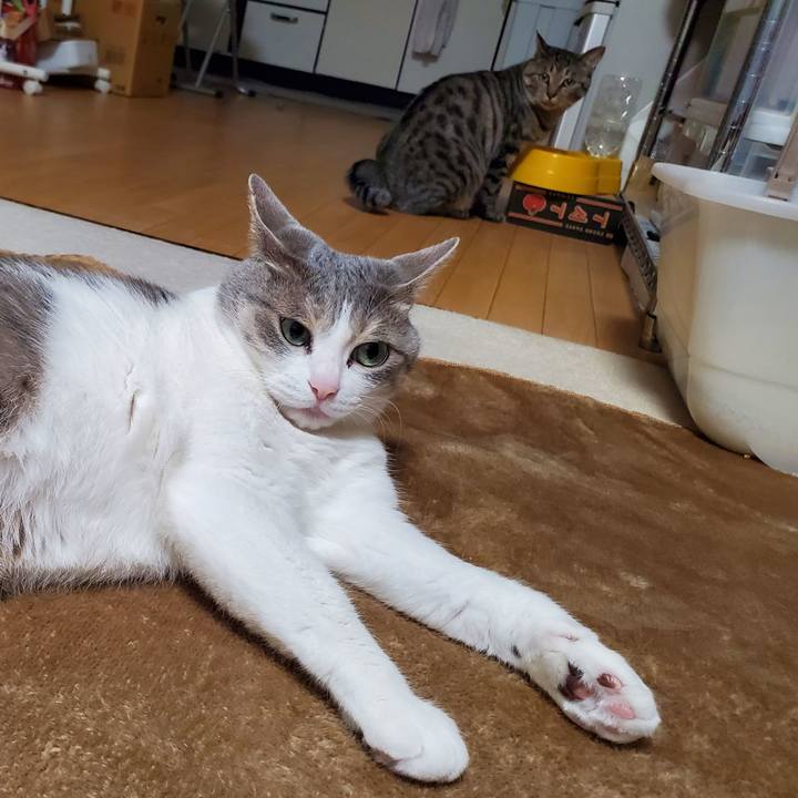 5acca451 9198 48b4 a583 019115747136 1713235125508