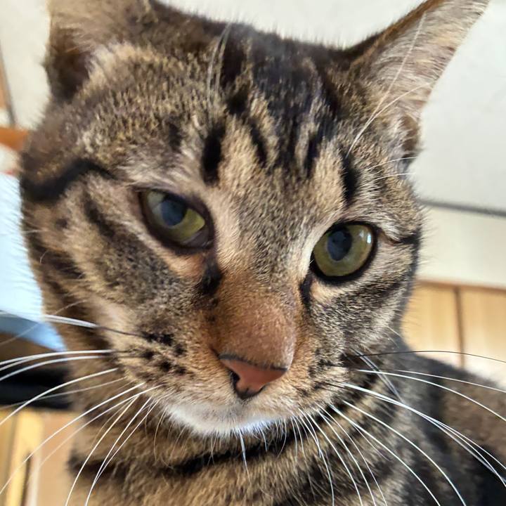 5accadb5 f192 46d4 8a04 3b1f2095d5d4 1771936630164