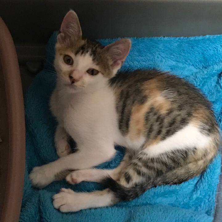 5accbc55 7949 49c3 a7b4 777d5e1a1456 1530162721047