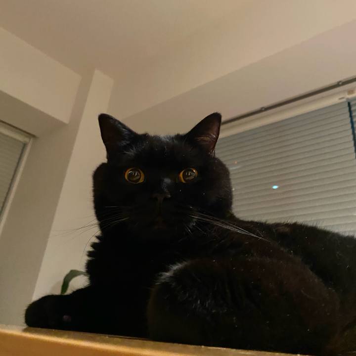 5accc653 6bf6 4b11 812b 0816d751370e 1695989272681