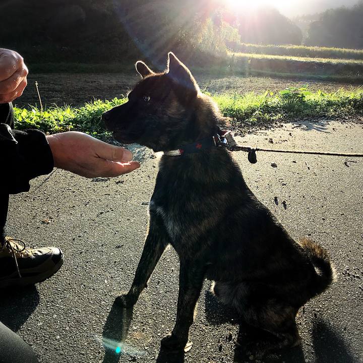 5accd4c0 48b6 4204 b8e9 68598a5d34e4 1508296454764