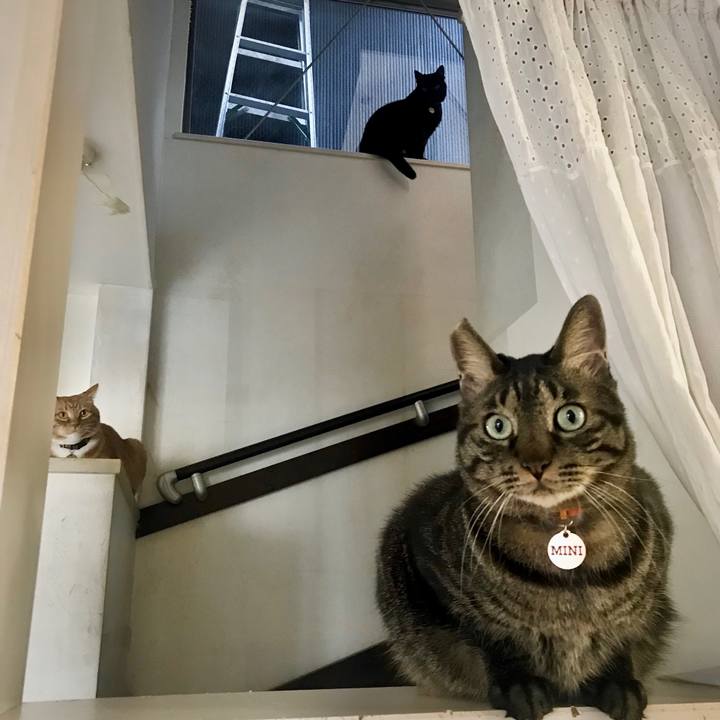 5acd11c0 f9d4 4e82 b4b0 679f0d72c8c9 1666532577251