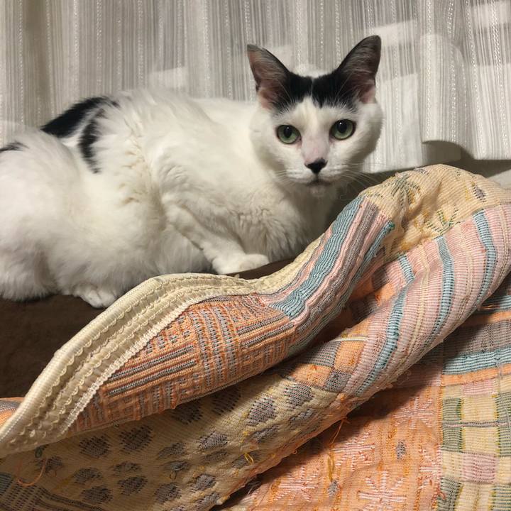 5acd2b92 7d2e 4144 83da f00d7a663831 1596551623054