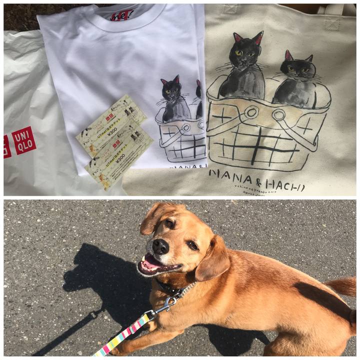 5acd511a 60d5 4784 adcf 4a0d681cf678 1559469721441