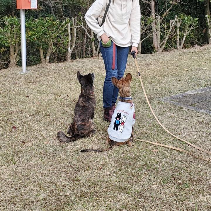 5acd5fe0 7032 40db 8139 ad3b07d06dc4 1574950474294