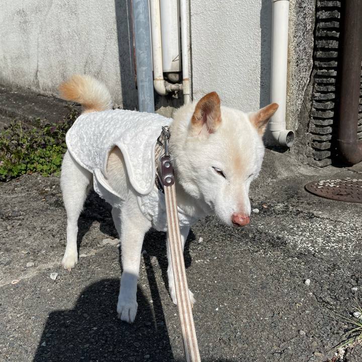 5acd6a33 9ecc 4178 b412 cff8a7b77c68 1638016641998