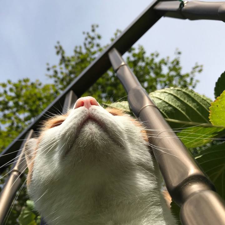 5acd99b6 b82b 4e34 adad 978ae32ac724 1537228649206