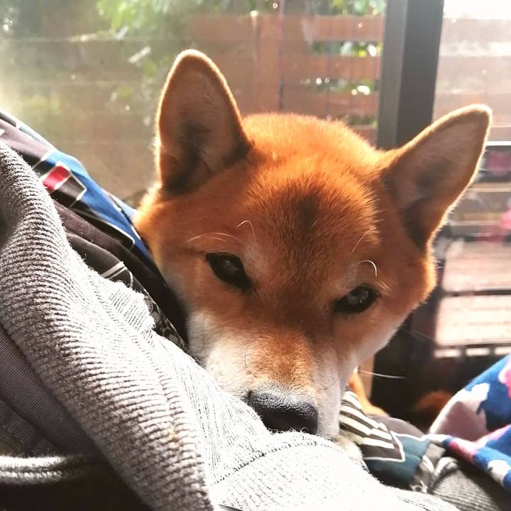 5acdaaf4 c6bf 4882 956b 1f3a1958ba8b 1609665702979