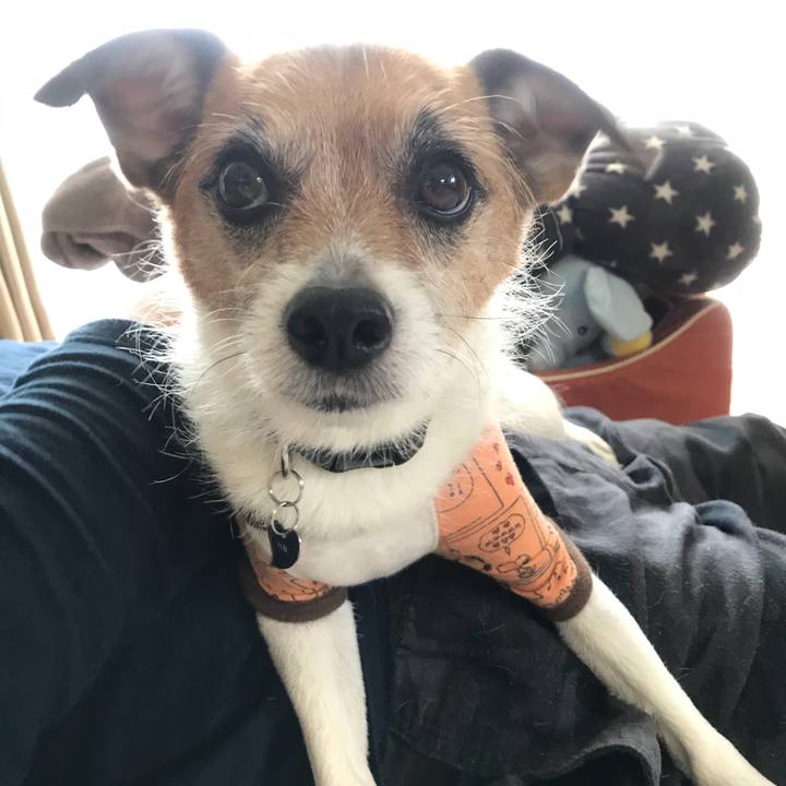 5acdb96f e172 44d9 8074 7f7dc8a5e64d 1524950919888