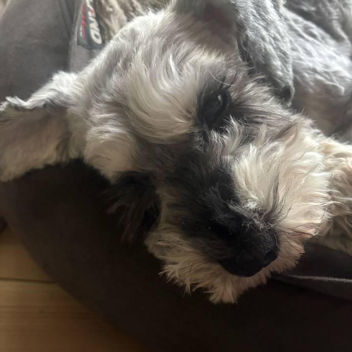 5acdf513 0ed4 46fa b946 7d3068e7beef 1752042137465