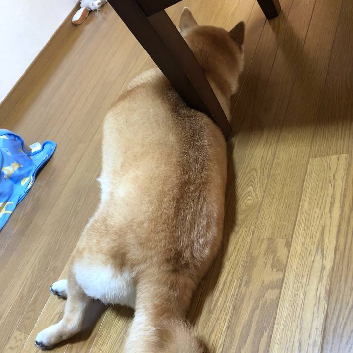 5ace3574 0530 44ca b2b2 bd3312c957bb 1592354956863