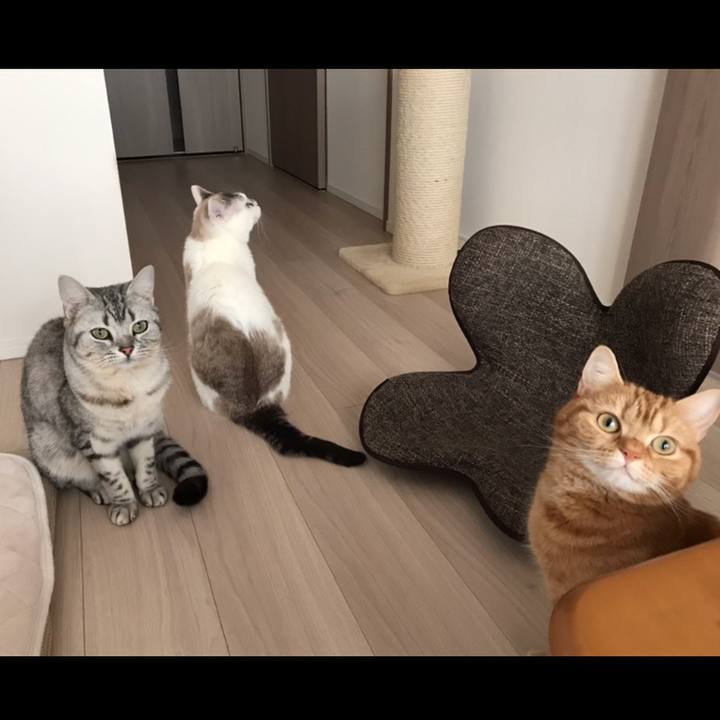 5ace3b5e 598e 4d9c 8142 d2758c82d6e1 1523313928707