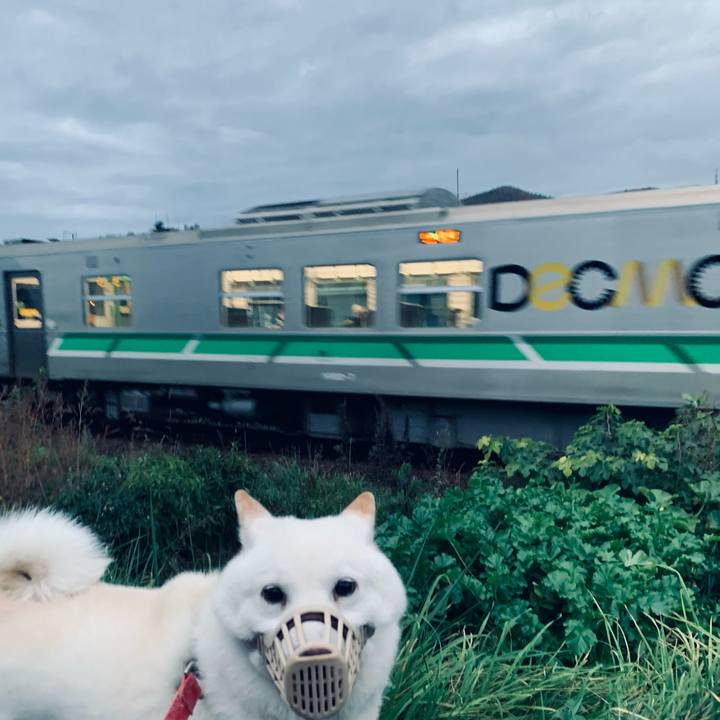 5ace3eb2 67f4 4ef4 8c58 bb6f91b56f37 1603404619711