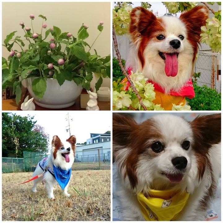 5ace4b69 2728 4059 96d6 db851fc2faea 1572164947504