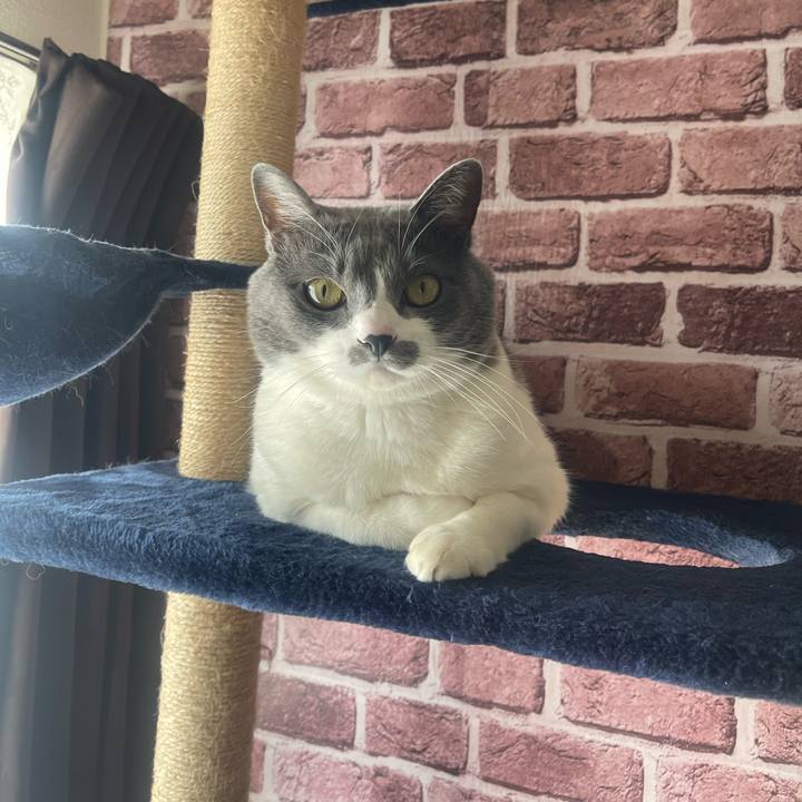 5ace7cfa faa7 492f 8d97 127571438e9c 1704509672114