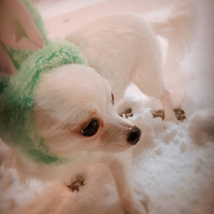 5ace8940 1087 4ee9 a24d c35c0a231f01 1518368724438