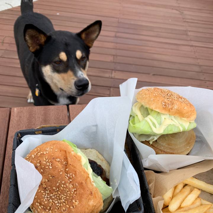 5ace8a00 e397 451b a5a7 dfbb1422a8f3 1563684615293