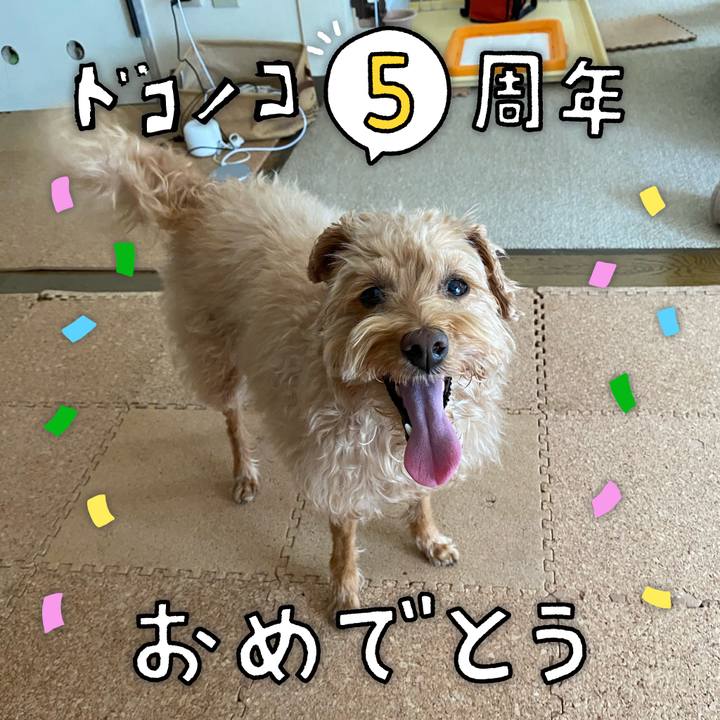 5acea9c9 1174 4616 a16b 595e8f805683 1622879019020