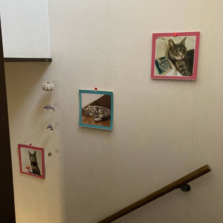 5aceb7ef 583c 4ab4 a833 49e80b6ec0f2 1632101861864