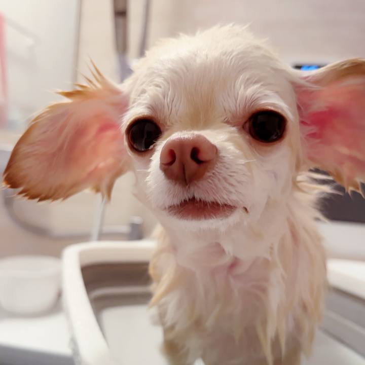 5aced7f8 a9e8 4d87 8c9a 7421fe40b0b2 1687521278984