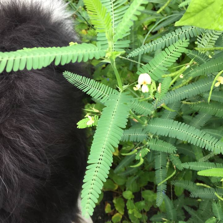 5acf1689 d27c 498d a2a1 ca9bcdd5b161 1566610602163