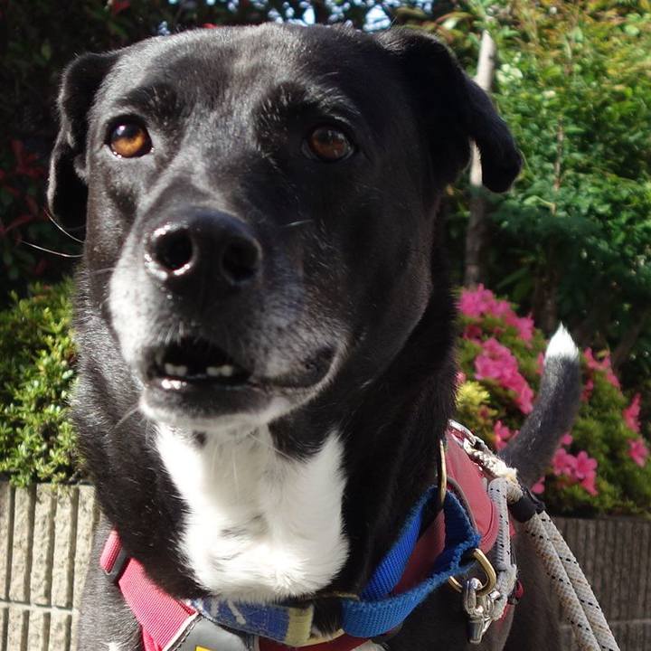 5acf1c32 a3fd 4ad1 bb09 68518b9dc9d0 1685148971399