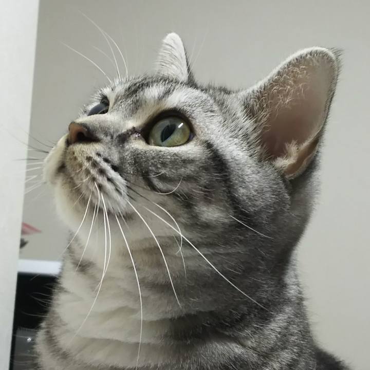 5acf4b6f 848a 4400 ba03 f677a33da0fc 1606000584956